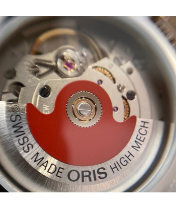 Oris - Big Crown X Cervo Volante Les êtres humains sont 