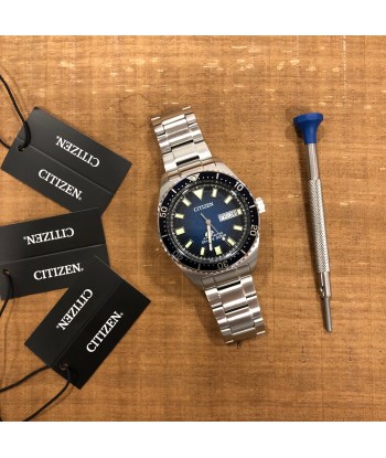 Citizen - PROMASTER MARINE DIVER hantent personnes