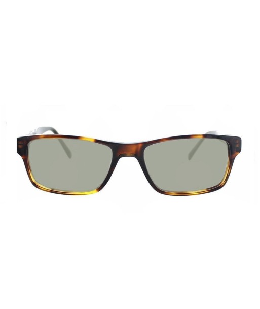 Lunettes de lecture solaires Arrow ARAA030 Ecaille foncé acheter en ligne