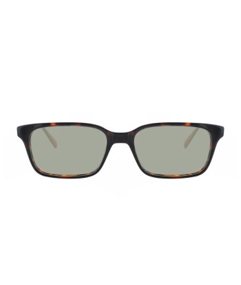 Lunettes de lecture solaires Arrow ARAA025 Ecaille foncé de France