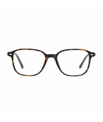 Lunettes de lecture Ray-Ban RB5393 Leonard Ecaille Jusqu'à 80% De Réduction