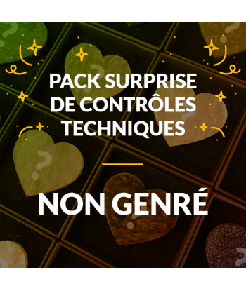 Pack surprise de 4 broches "Contrôle technique" Livraison rapide